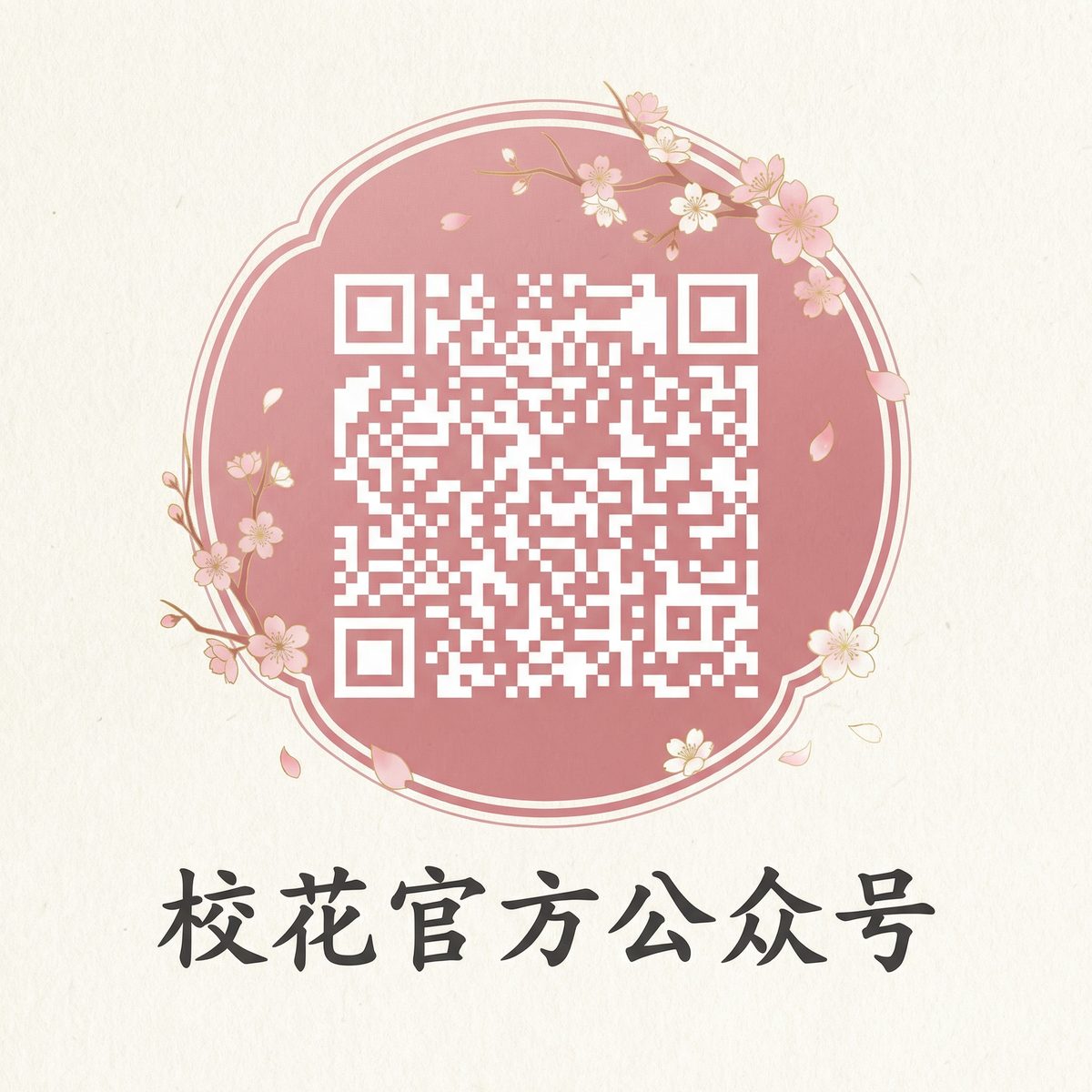 麻豆传媒微信公众号二维码扫码关注